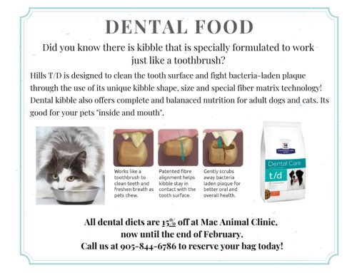 DENTAL KIBBLE. NUTRITIOUS AND DELICIOUS!