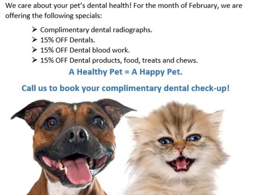 FEBRUARY IS DENTAL MONTH