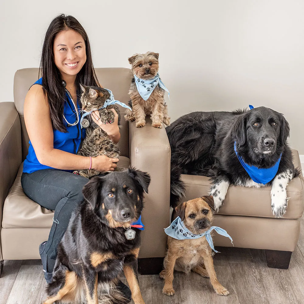 Dr. Mac holding a tabby cat, with four dogs gathered around her